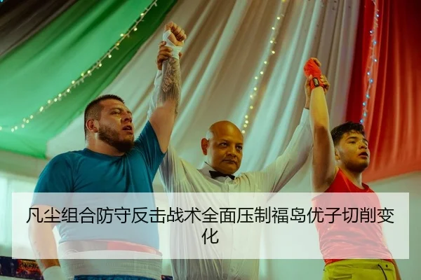fan-chen-zu-he-fang-shou-fan-ji-zhan-shu-quan-mian-ya-zhi-fu-dao-you-zi-qie-xiao-bian-hua-2-669.jpg